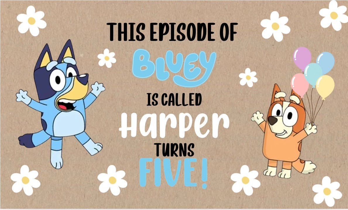 Bluey Birthday