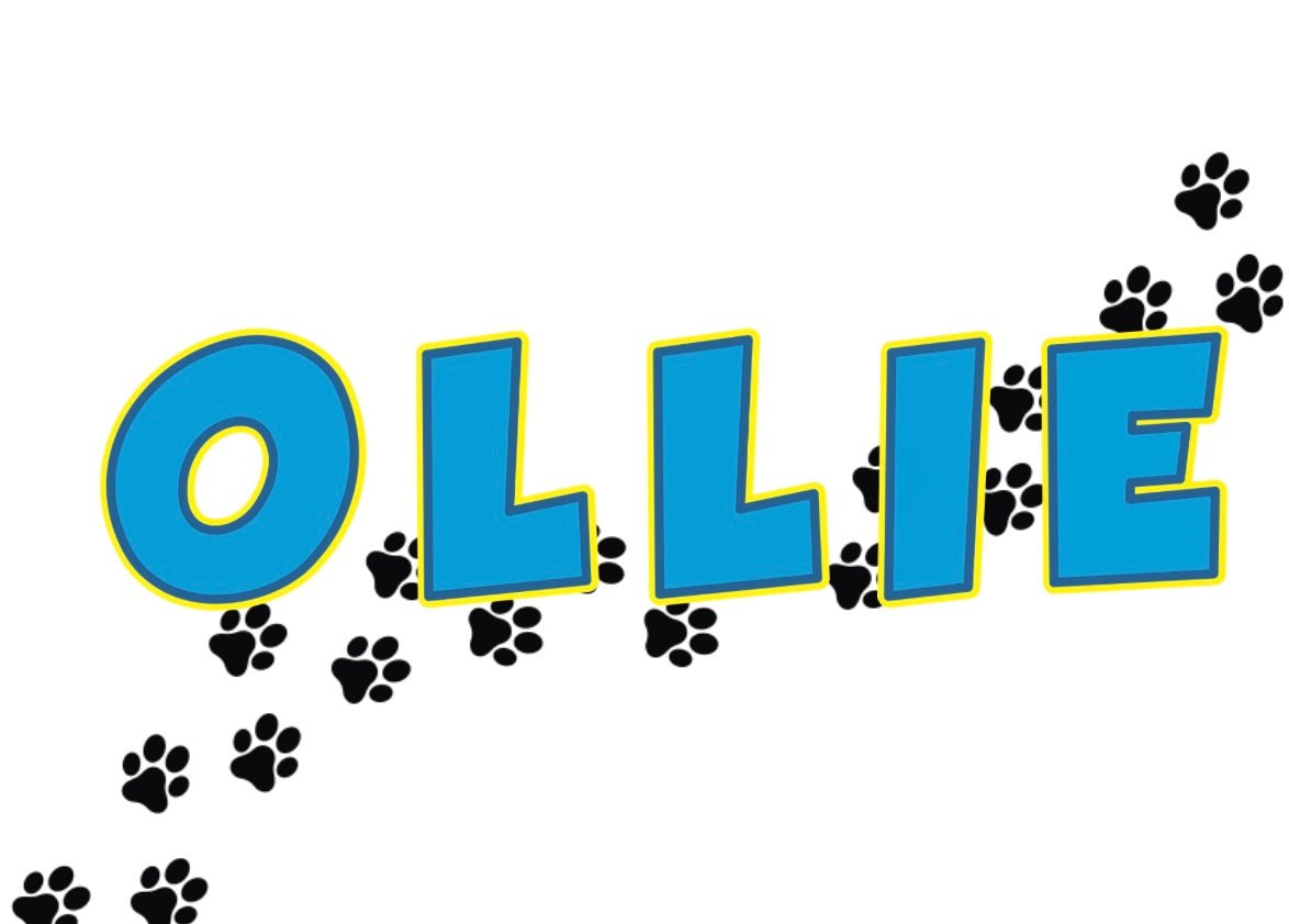 Pet Banners